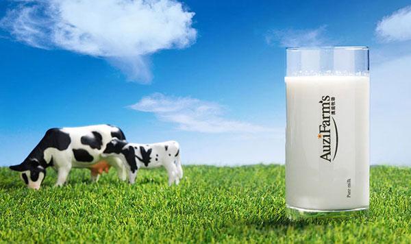 澳滋牧场牛奶品牌包装设计